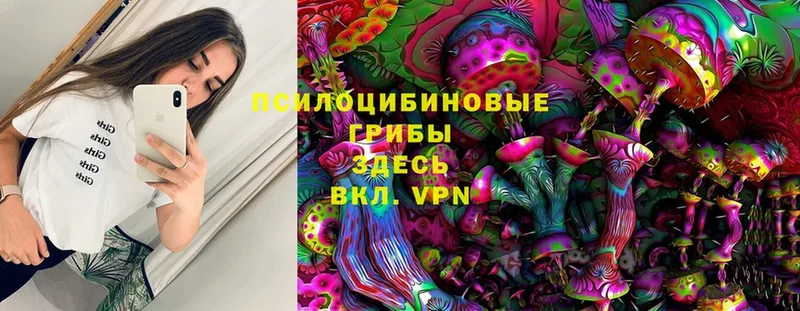 Галлюциногенные грибы Magic Shrooms  даркнет сайт  KRAKEN вход  Карачев 