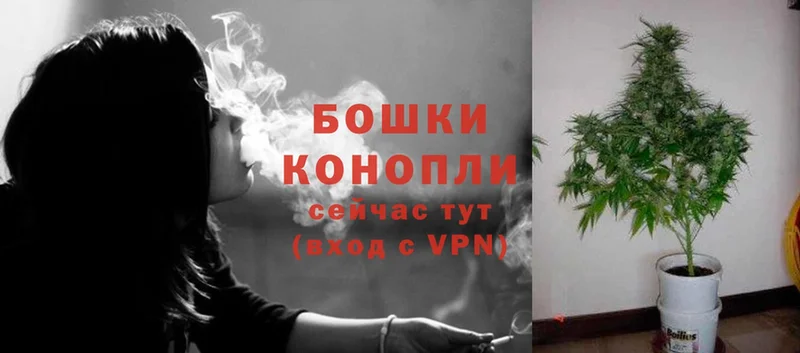 Бошки марихуана Ganja  Карачев 